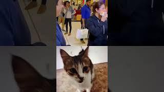 #comedy#funny#fun#entertainment#viral#shorts#trending