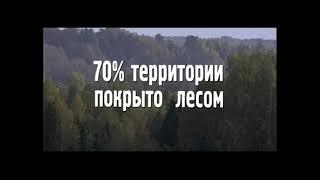 Фильм.  Природные ресурсы Костромской области