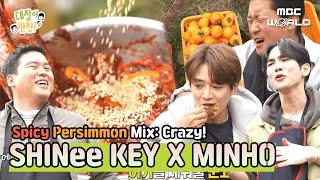 [SUB] KEY & MINHO Amazed by Jangwoo's Perfect Spicy Dried Persimmon Mix!  #KEY #MINHO #SHINee