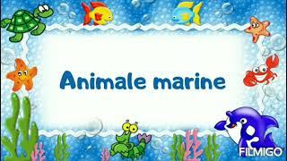 Animale marine |prezentare generală