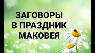 14 АВГУСТА -  ЗАГОВОРЫ В ПРАЗДНИК МАКОВЕЯ ! ТРАДИЦИИ. ПРИМЕТЫ. / "ТАЙНА СЛОВ"