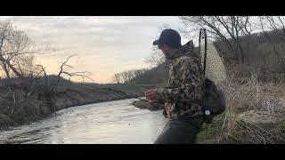 Northern Driftless Trout Report April 20