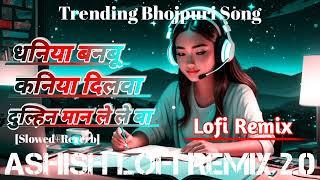 dhaniya banbu kaniya | slowed and reverb | khesari lal | lofisong | instagram trending bhojpuri song