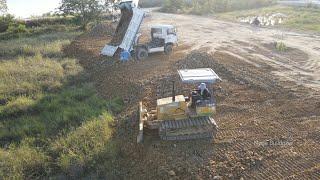 Extremely mini dozer d20 pushing Dirt , Rock with Dump Truck 5ton in action