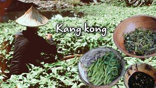 Cooking adobong kang kong fresh from our backyard |Kabagis |Rural life in the Philippines Episode 27