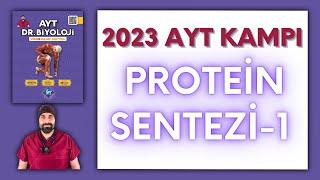 Genden Proteine-1 AYT Biyoloji Kampı Konu Anlatımı/ 12.Sınıf 2024 Tayfa