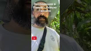 167. Смотрим, чтобы кокосы не упали на голову #shorts