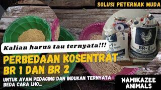 HARUS TAU‼️PERBEDAAN KOSENTRAT BR 1  DAN BR 2 - UNTUK AYAM PEDAGING ATAU INDUKAN