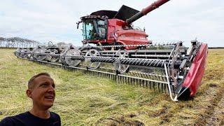 Høsten 2024 - Case IH 9260 Axial-Flow & 50 fods MacDon Skærebord i frøgræsset | Dansk Høst 2023