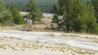 Sawmill Geyser and runoff