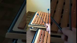 Unboxing the Sonor Smart Series xylophones