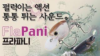 [TIMON] FlaPani(프라파니) 펄럭이는 액션과 통통 튀는 사운드!  프라파니 해설