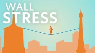 Cardiology: Wall Stress #cardiology #ubcmedicine
