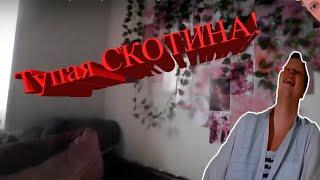 Скабрезлость ЖЁСТКО и ЧЕСНО про Максин