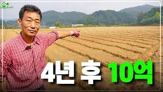 4년만 기다리면 10억이?!ㅣ고소득 작물 ㅣ투자하면 투자한 만큼 돌아오는 작물!