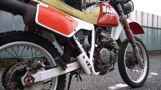 HONDA XLR250BAJA 外観参考・クランキング　不動車