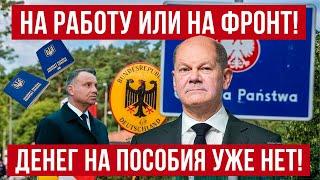 Шутки закончились! Германия делает заявление для украинцев! Польша новости