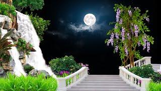 A Peaceful Night: Staircase and Waterfall Under the Moonlight | Nature Video Background