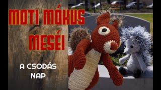 A csodás nap - Moti Mókus Meséi