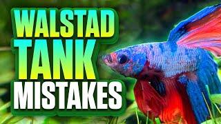 9 Walstad Method Mistakes I Made In My Betta Tank So You Don't Have To! (Walstad Aquarium)