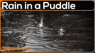 ► Raindrops in a Puddle Up Close | Rain Sounds for Sleeping, Studying, or Helping Parents Sleep Fast