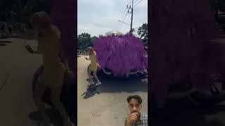 Mobil Ada Rambut ​⁠@asyasiam #shorts #viralvideo #trending #dubbing #funny #unicorn #automobile