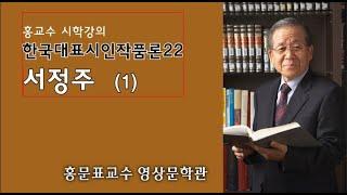 한국대표시인작품론22 -서정주(1)