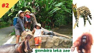 KEBUN BINATANG GEMBIRA LOKA YOGYAKARTA 2021 - PART #2