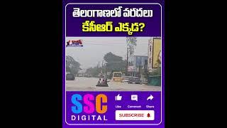 CM Revanth Reddy comments on Ex CM KCR || #Shorts #Sscdigital #Balannamuchatlu