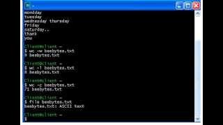 Unix Commands - 03 - Working with WC command and FILE command