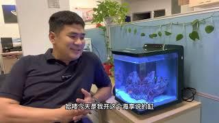 【养鱼如今6】智能海水鱼缸，开缸第20天  小丑鱼配对成功 珊瑚开了