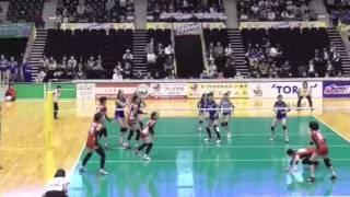 Japan League Volleyball Long Rally (ft. Kelly Murphy)