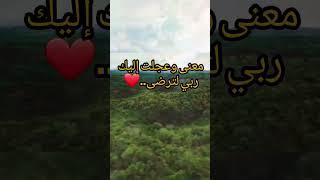 مامعنى وعجلت إليك ربي لترضى؟        الشيخ: محمد صالح المنجد