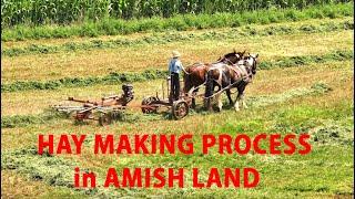 AMISH LAND Hay Making with HORSES in Late SUMMER Lancaster County, PA Cutting, Raking and Baling