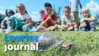 'We learn life skills': How pets are improving JCPS classrooms