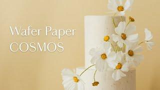 FREE Easy Wafer Paper Cosmos Flowers for Beginners (+ Master a minimalist cake design in 7 DAYS)