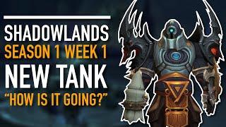 My First Week Tanking Mythic Plus | Prot Paladin Shadowlands