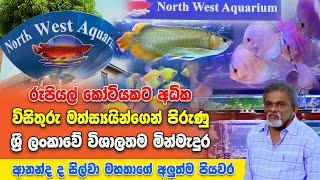 Sri Lanka's Biggest Aquarium Opening in Nugegoda - Wakkra Life Aquarium Tour