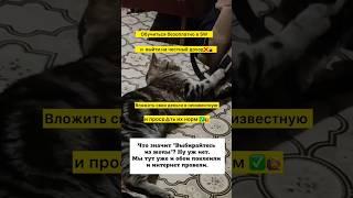 Без комментариев  #обучениевмлм #еленамихееваsw #женскийбизнес #сибирскоездоровье