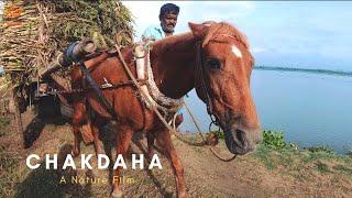 Riverside of Chakdaha - A Cinematic Film by TraverseXP India | West Bengal | Cinematic | Sony a6400