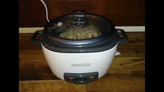 Using The Black + Decker Rice Cooker For The 1st Time