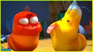 Larva Best Episodes - Funny Cartoon | MINI SERIES FROM ANIMATION LARVA