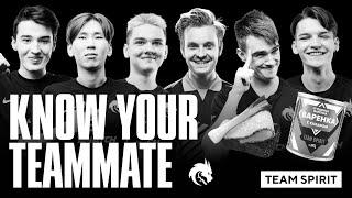 Team Spirit Dota 2. KNOW YOUR TEAMMATE