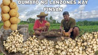 Dumayo ng Kain ng Lanzones Kay Pinsan