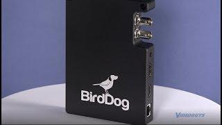 BirdDog Studio NDI Videoguys Product Spotlight