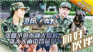 Dog Partner EP.2 Police Dog Saves Zhang Xinyu【 Hunan TV official channel】