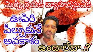 #మిర్చి  రైతుకి #వ్యాపారస్థునికి | #ఊపిరి పీల్చుకునే అవకాశం |ఉందా లేదా..??|md hasan agri tech