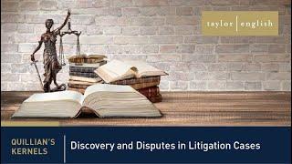 Litigation Fundamentals | Discovery and Disputes in Litigation Cases