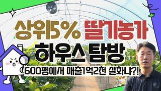 딸기재배 상위5%농가의 하우스 공개!