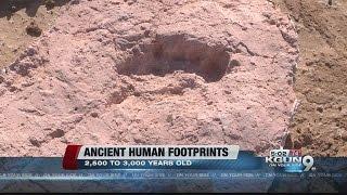 Ancient human footprints found